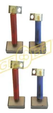 Escova do motor de arranco para Renault 21  S48