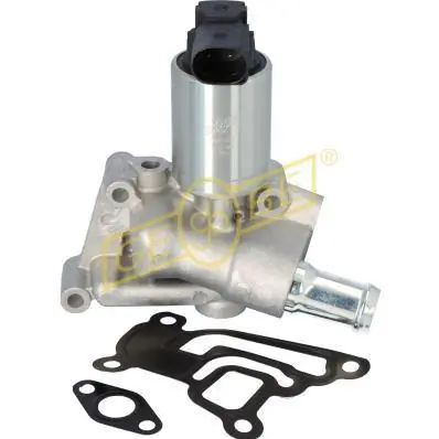 Válvula EGR de recirculação dos gases Opel Vectra 38