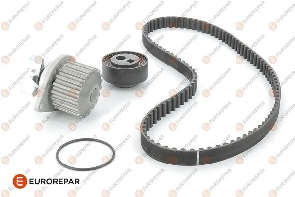 Купить 530001230 Polcar Комплект ГРМ