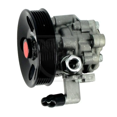 Насос гидроусилителя руля Polcar S5040002