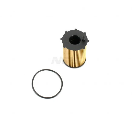 F131T01 NPS