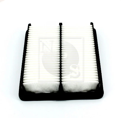 S132G09 NPS
