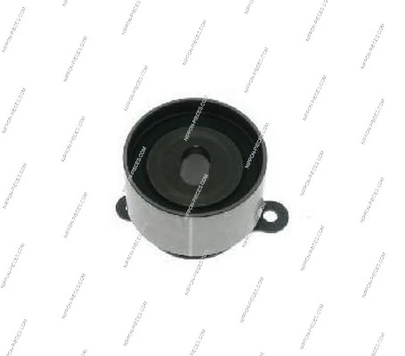 H113A06 NPS