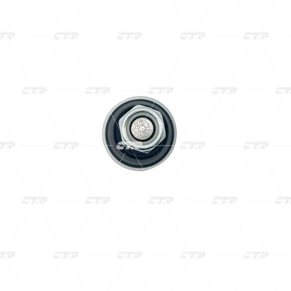 CB0540 CTR Палец шаровой нижний
