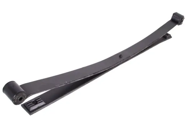 Рессоры задние (пружины задней подвески) TES 62012080019 цена, от 190.02 USD