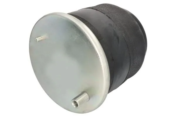 Рессора пневматической подвески Renault (RVI) 7421978493 цена, от 93.84 USD