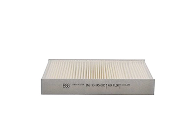 BSG30145002 BSG