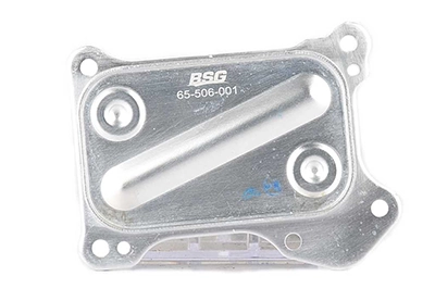BSG65506001 BSG