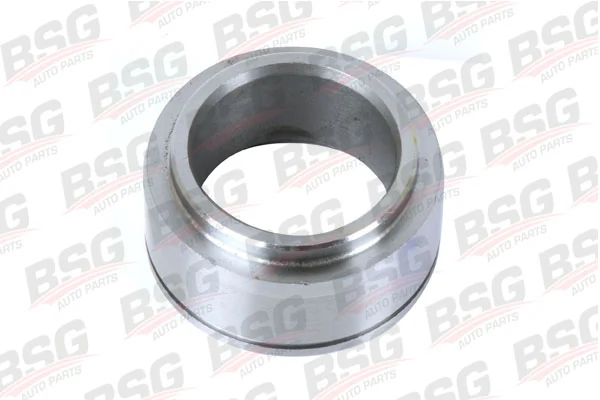 BSG30122004 BSG