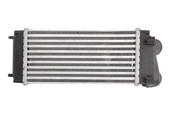 Radiador de intercooler Peugeot 307 3H