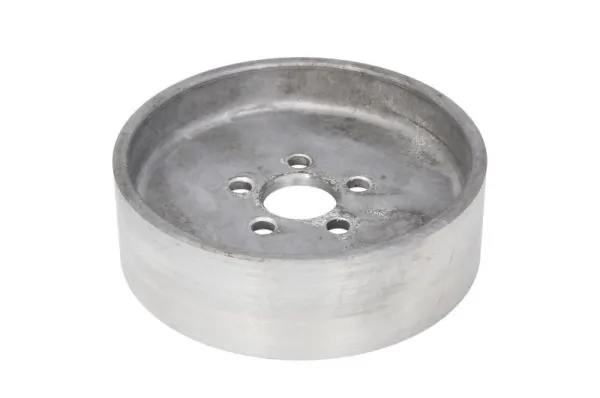 Polia da bomba de água Renault Trucks MAGNUM 4