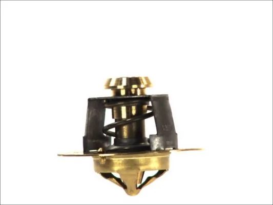 Термостат в корпусе Thermotec D2DA003TT цена, от 10.99 USD