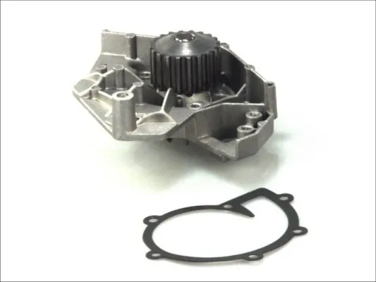 D1P017TT Thermotec Насос водяной