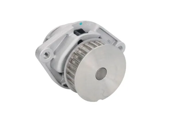 D1W019TT Thermotec Насос водяной