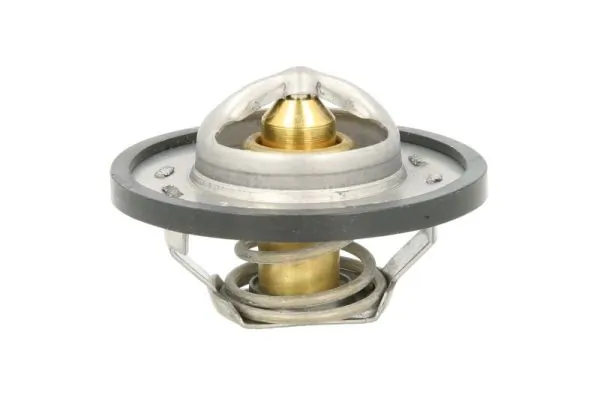 Caixa do termostato Renault Kangoo 1 FC0, FC1