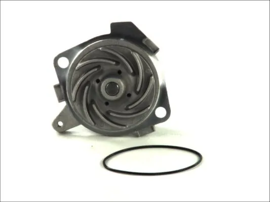 D1D019TT Thermotec Насос водяной