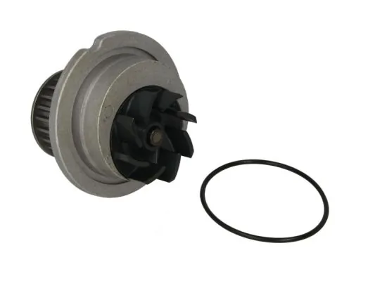 D10018TT Thermotec Насос водяной