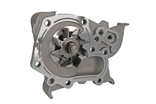 D1R023TT Thermotec Насос водяной
