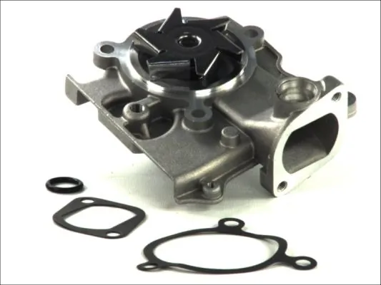 D13009TT Thermotec Насос водяной