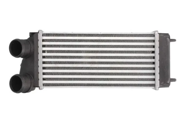 Radiador de intercooler Peugeot 307 3H