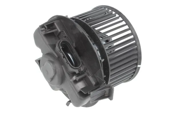 DDR014TT Thermotec Электромотор печки