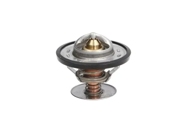 Termostato Seat Ibiza 1 021A