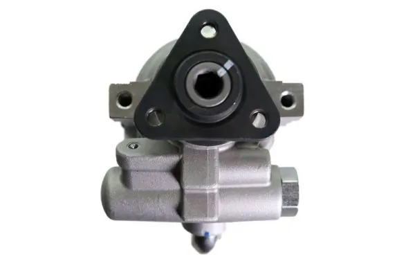 Насос ГУР 0053595 GKN-Spidan
