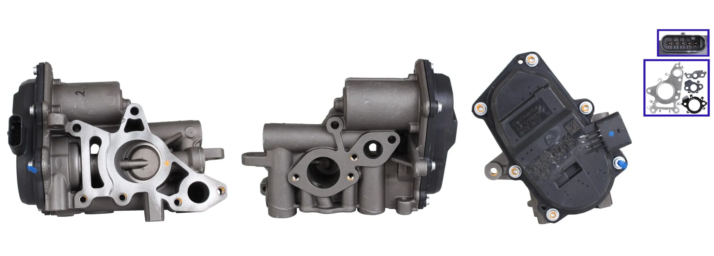 LEV2246 Lucas