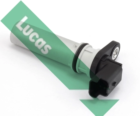 SEB1656 Lucas