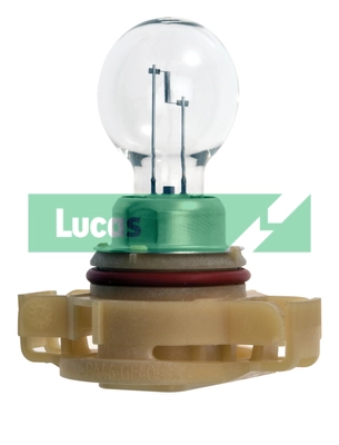 LLB189 Lucas