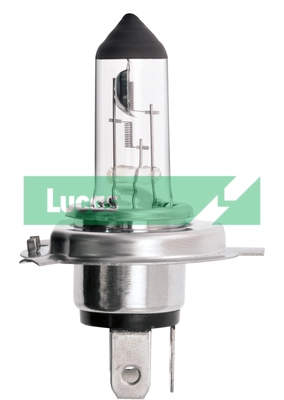 LLB472 Lucas