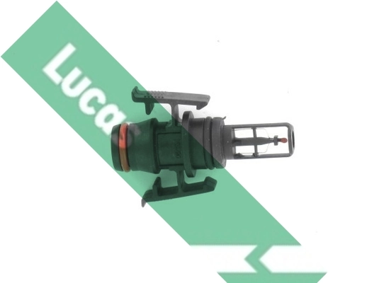 SNB1138 Lucas