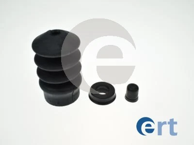 300613 ERT