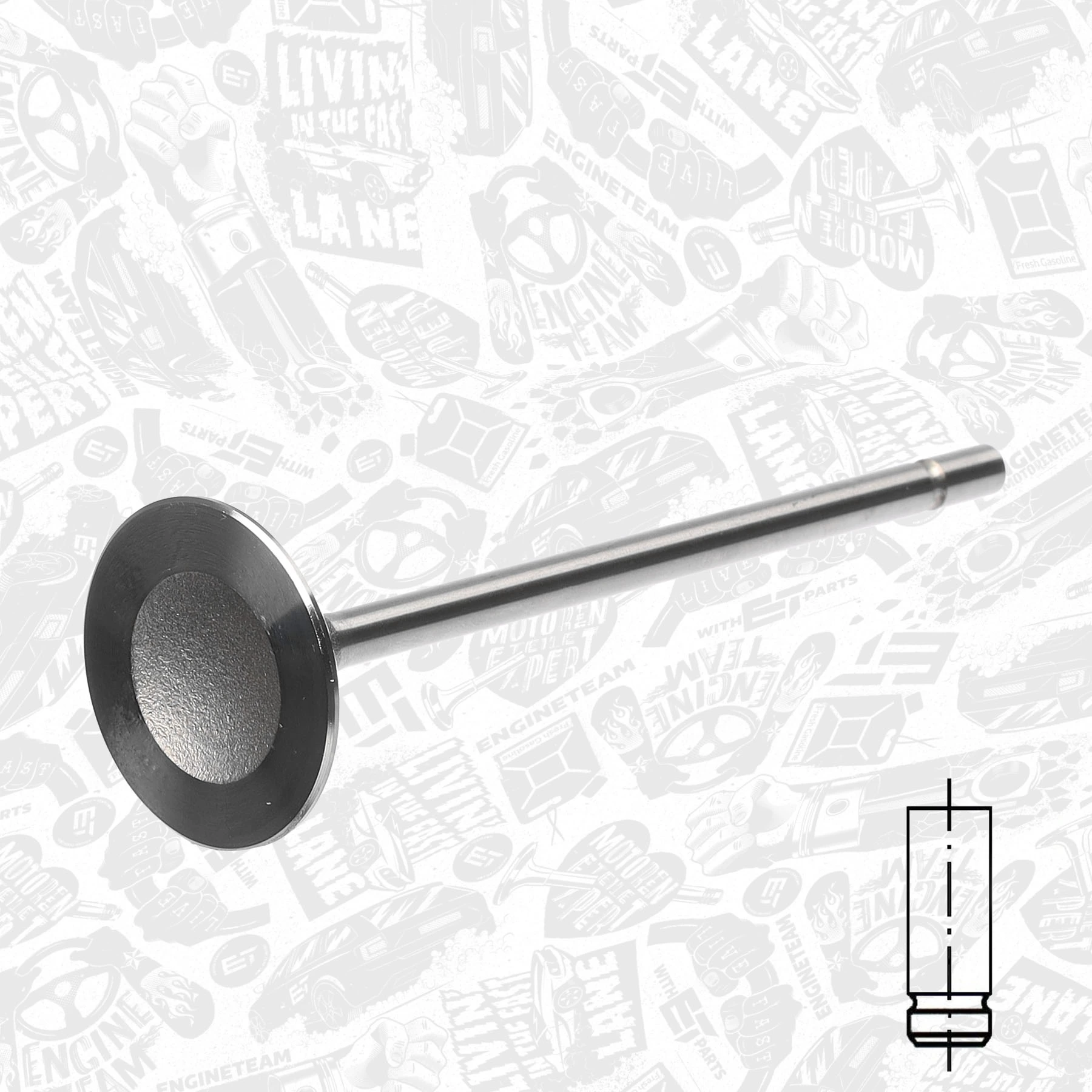 Впускной клапан 1006S Gieffe