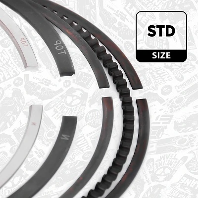Кольца поршневые STD на 1 цилиндр SM 793556001 цена, от 18.17 USD