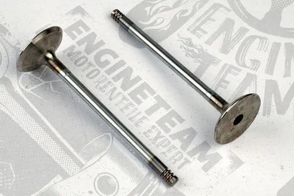 Compre Válvula de admissão Opel Frontera 