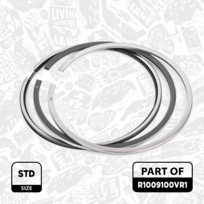 843230000 Goetze Поршневые кольца на 1 цилиндр, STD