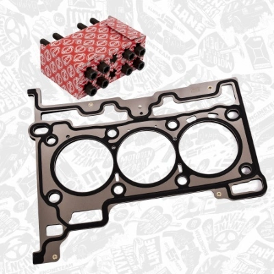 Compre Vedante de cabeça de motor (CBC) Ford Focus 3