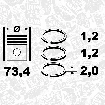 Купить 793556001 SM Комплект поршневых колец на 1 цилиндр, стандарт