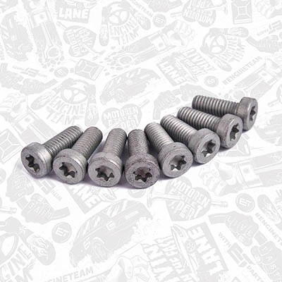 Ремкомплект вакуумного насоса ET Engineteam TM0025 цена, от 43.14 USD