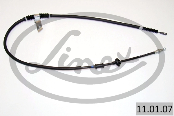110107 Linex