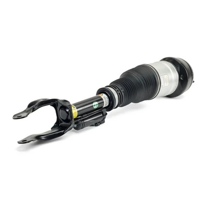 AS3060 Arnott Амортизатор передней подвески правый