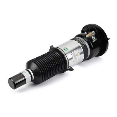 AS3123 Arnott Стойка передняя