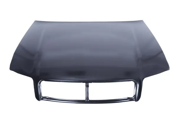 Капот на Audi A4 B6 8E2