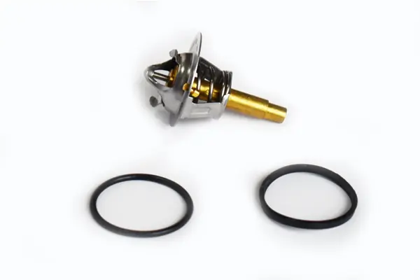 Termostato Mercedes E S211