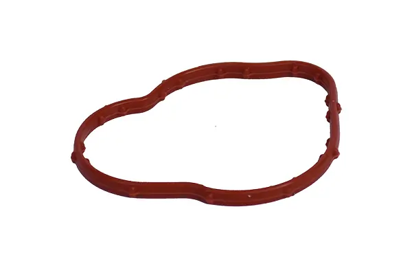 100109 Asam