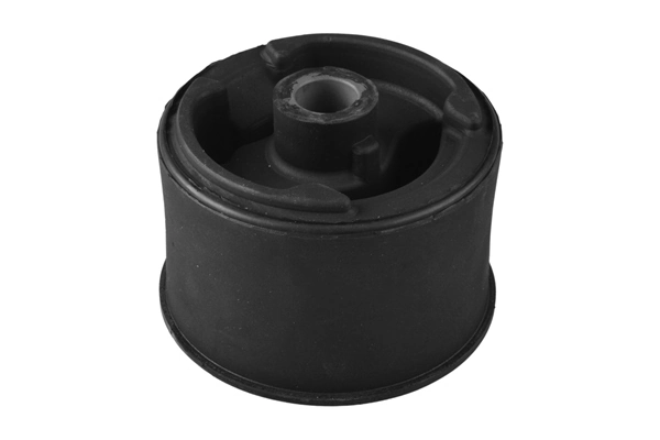 Coxim (suporte) traseiro de motor Chevrolet Captiva 1 C100