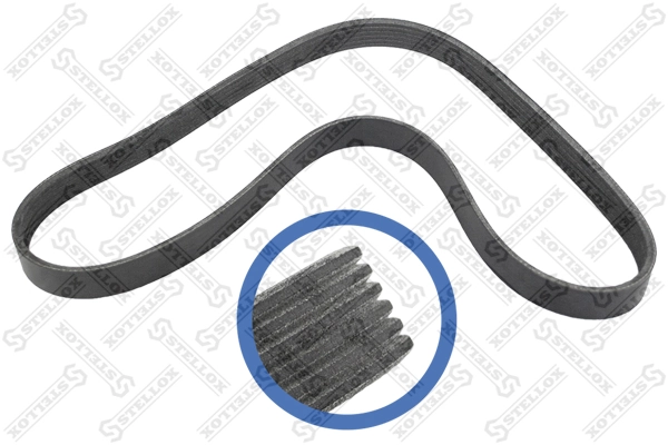 Купить 6PK1019 Continental/Siemens Ремень генератора