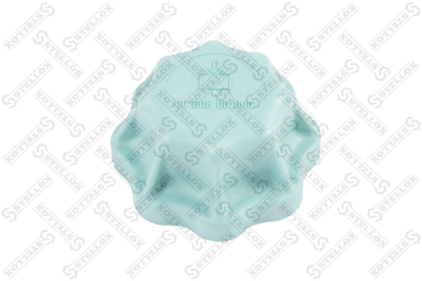 Tampa (tampão) do tanque de expansão MAN TGX 1