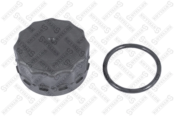 Tampa (tampão) do tanque de expansão Renault Trucks MAGNUM 3